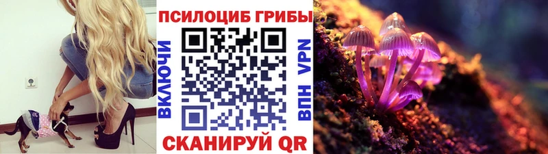 Псилоцибиновые грибы ЛСД купить наркотики сайты Очёр